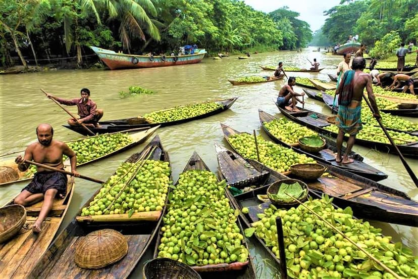 Floating Market Eco Tour